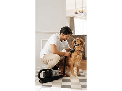 NILFISK S1 Pet Care — Aspiradora escoba sin cable, 550 W, Potencia de succión 550 W, Negro, Depósito 0,8 l
