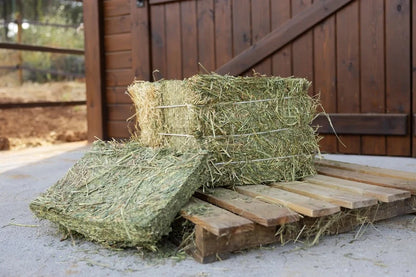 Heno de Prado Francés para Caballos - Fardo Pequeño 24 kg